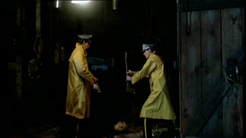 f131.jpg